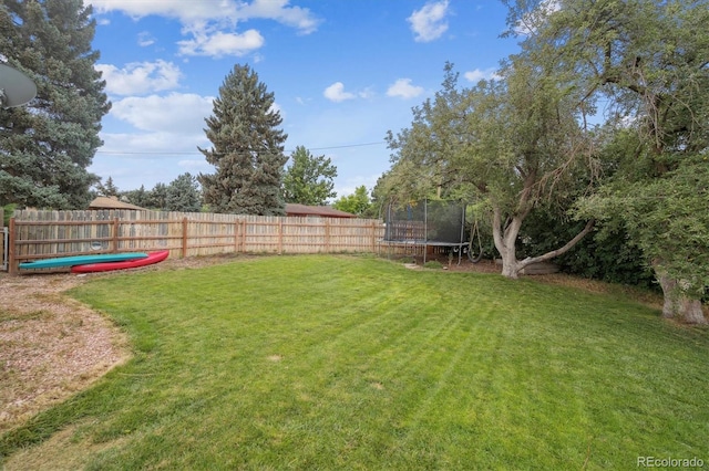 7873 S Vine St, Centennial, CO 80122 - photo 27