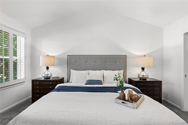 9491 Southern Hills Cir, Lone Tree, CO 80124 - bedroom featuring carpet and lofted ceiling