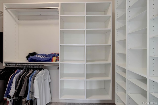 10906 Touchstone Loop, Parker, CO 80134 - view of spacious closet