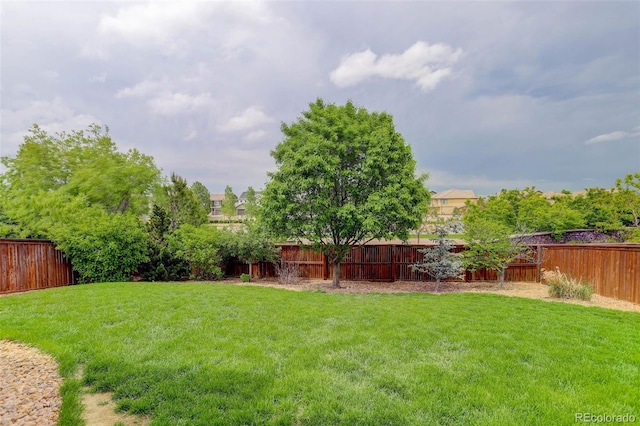 10906 Touchstone Loop, Parker, CO 80134 - view of fenced backyard