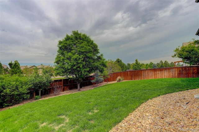 10906 Touchstone Loop, Parker, CO 80134 - view of fenced backyard
