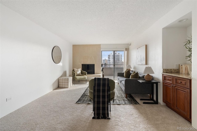 carpeted living room featuring a textured ceiling