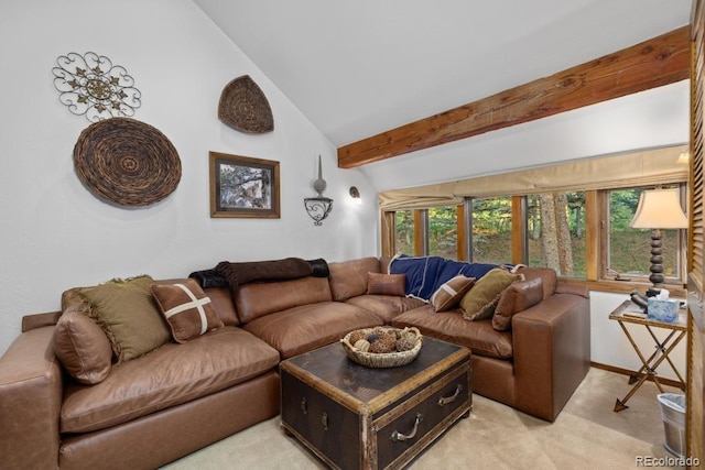 82 Lenawee Ln, Dillon, CO 80435 - living room featuring light colored carpet
