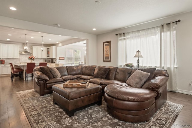 living room with dark hardwood / wood-style flooring