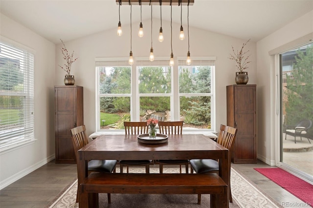 dining area with a wealth of natural light, lofted ceiling, and hardwood / wood-style floors