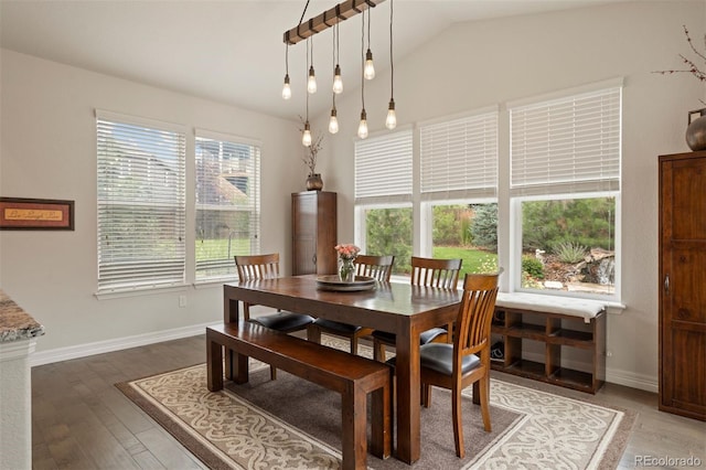 dining space featuring a healthy amount of sunlight, vaulted ceiling, and hardwood / wood-style floors