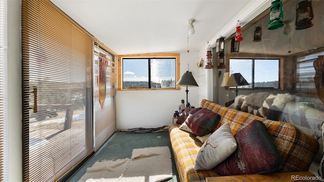 interior space featuring vaulted ceiling