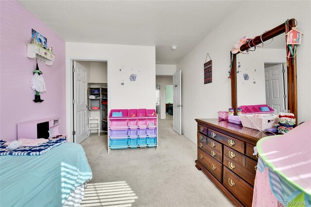 562 Gallo St, Brighton, CO 80603 - photo 15