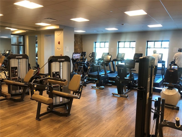 exercise room with wood-type flooring and a drop ceiling