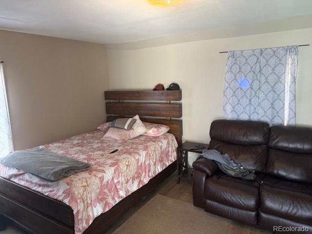449 Lowell Blvd, Denver, CO 80204 - view of bedroom