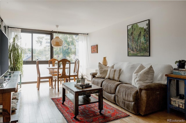 1050 N Corona St Unit 312, Denver, CO 80218 - living room featuring wood finished floors