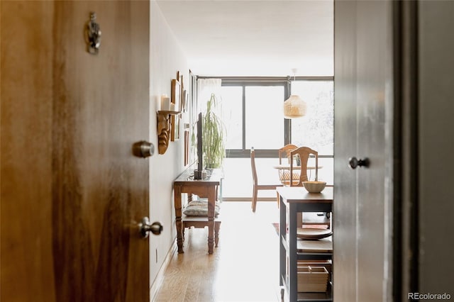 1050 N Corona St Unit 312, Denver, CO 80218 - corridor featuring wood finished floors and a wall of windows