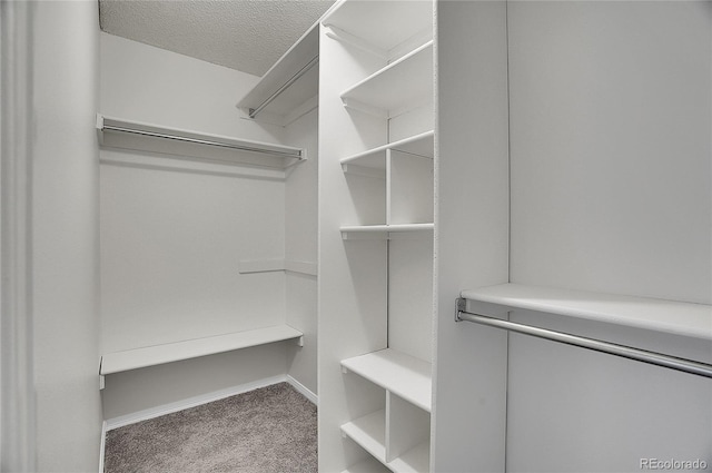 spacious closet with carpet