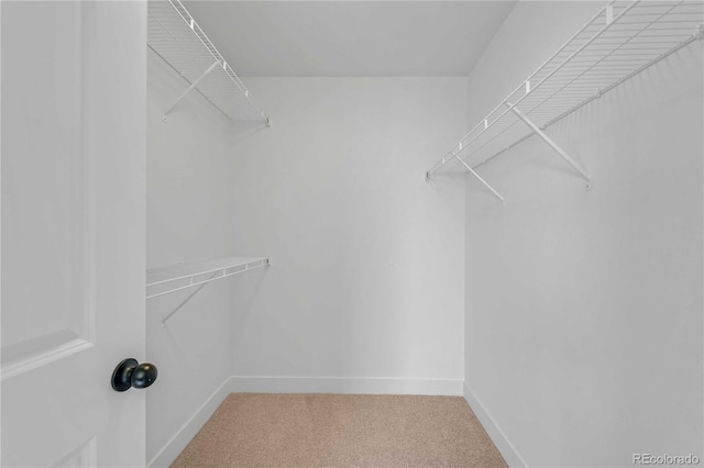 827 Forest Canyon Rd, Severance, CO 80550 - spacious closet featuring light carpet