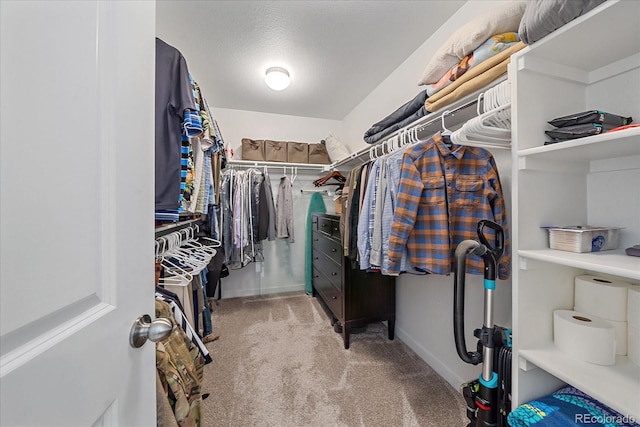 spacious closet with light colored carpet