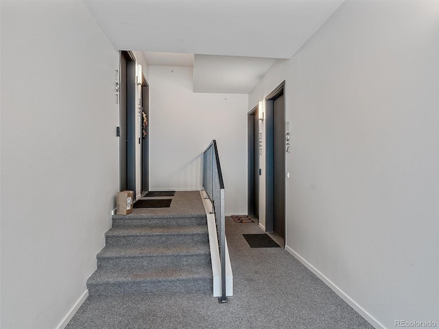 stairs featuring carpet flooring