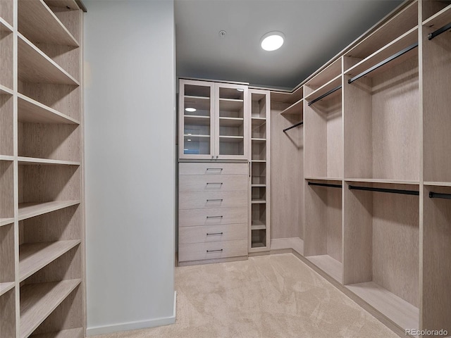 walk in closet featuring light colored carpet