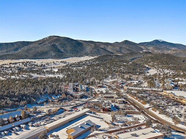 birds eye view of property featuring a mountain view