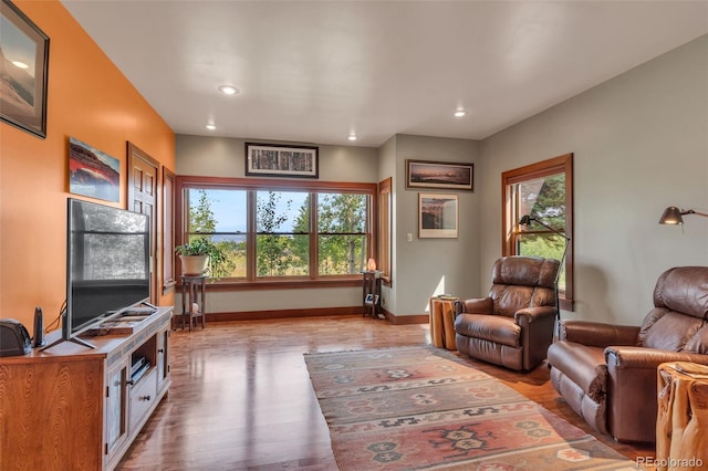 living room featuring a wealth of natural light and light hardwood / wood-style flooring