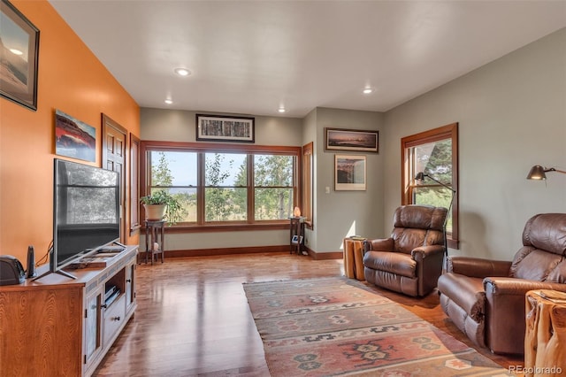 living room featuring a healthy amount of sunlight and light hardwood / wood-style flooring