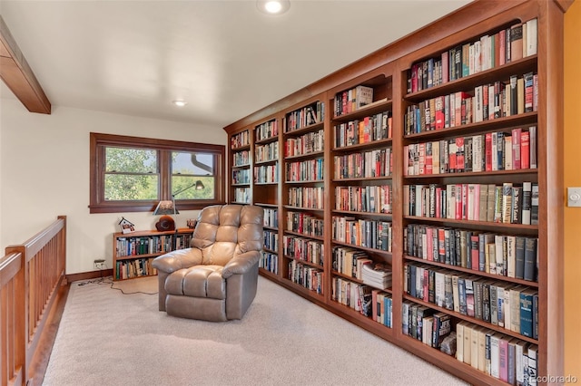 living area with carpet