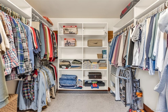 view of spacious closet