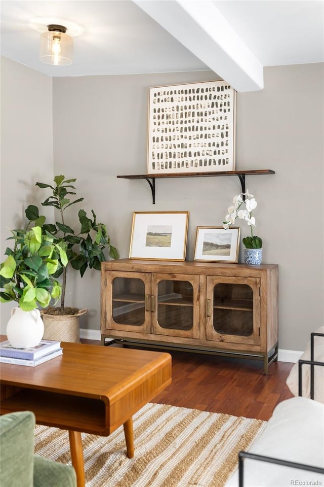 sitting room with dark hardwood / wood-style flooring