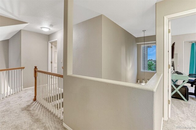 15654 Coquina Dr, Monument, CO 80132