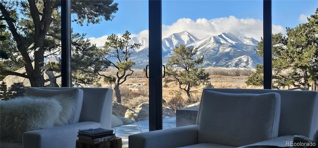 29918 Teal Run, Buena Vista, CO 81211 - view of mountain background