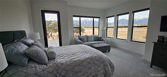 29918 Teal Run, Buena Vista, CO 81211 - carpeted bedroom featuring baseboards and access to exterior