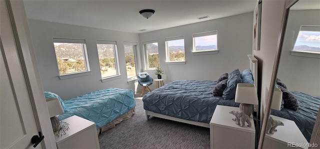 29918 Teal Run, Buena Vista, CO 81211 - bedroom featuring multiple windows and carpet