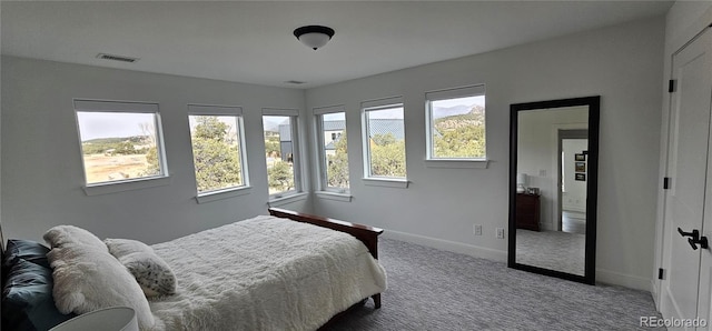 29918 Teal Run, Buena Vista, CO 81211 - bedroom with carpet, multiple windows, and baseboards