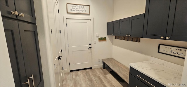 29918 Teal Run, Buena Vista, CO 81211 - mudroom featuring light wood finished floors and baseboards