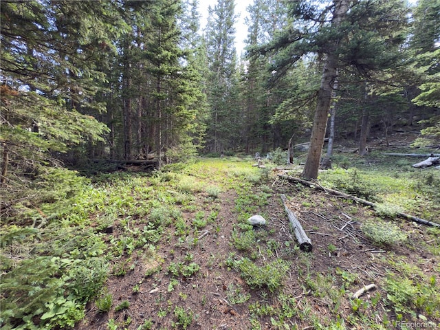 LOT6 Brook Dr, Idaho Springs, CO 80452 - photo 7