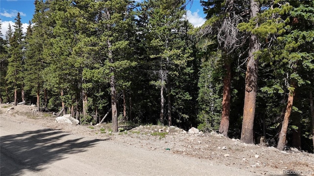 LOT6 Brook Dr, Idaho Springs, CO 80452 - photo 16