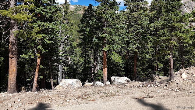 LOT6 Brook Dr, Idaho Springs, CO 80452 - photo 17