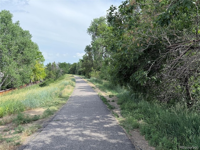 2575 S Syracuse Way Unit F301, Denver, CO 80231 - view of street with a wooded view