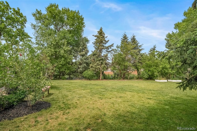 2276 S Dover Way, Lakewood, CO 80227 - view of green lawn