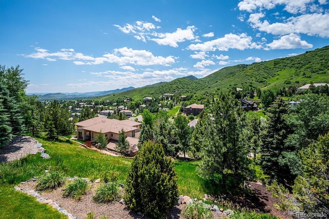16442 Rocky Point Ln, Morrison, CO 80465 - view of mountain background