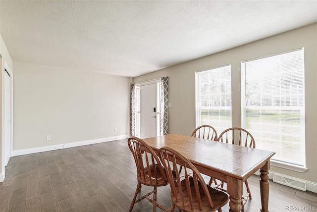 12020 E Canal Dr, Aurora, CO 80011 - dining area with wood finished floors, plenty of natural light, baseboards, and a textured ceiling