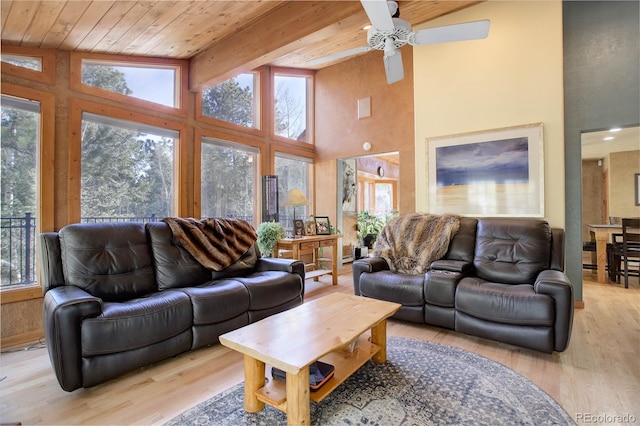 living room featuring beam ceiling, a wealth of natural light, high vaulted ceiling, and light wood-type flooring