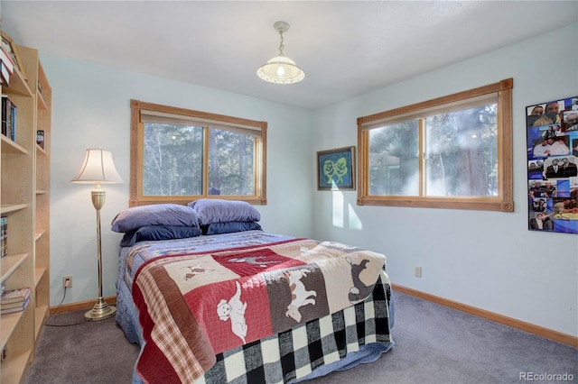 bedroom featuring multiple windows and carpet