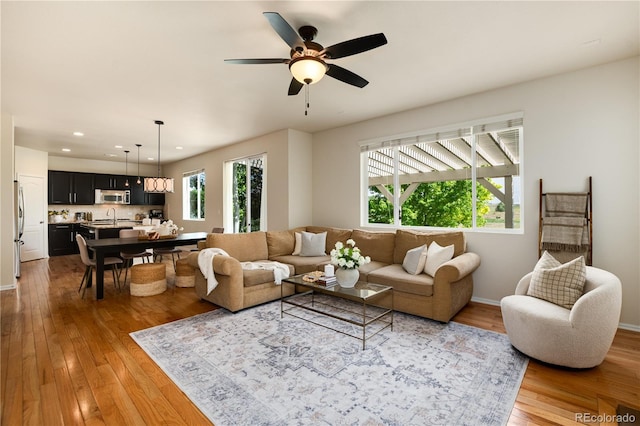 3027 Walnut Grove St, Erie, CO 80516 - living room with wood-type flooring, a ceiling fan, and recessed lighting