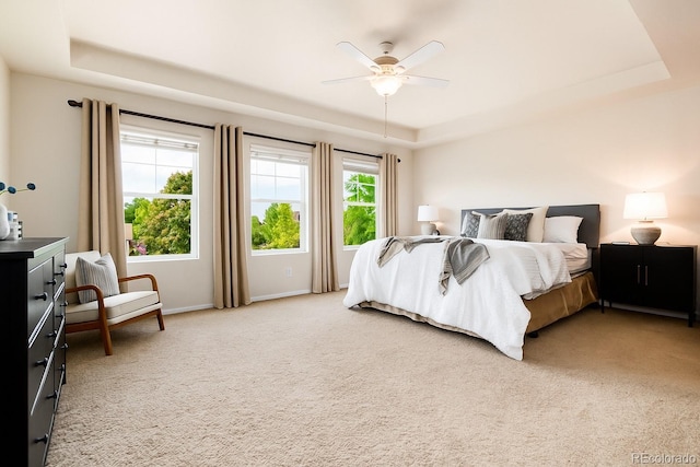 3027 Walnut Grove St, Erie, CO 80516 - bedroom featuring a tray ceiling, light colored carpet, and a ceiling fan