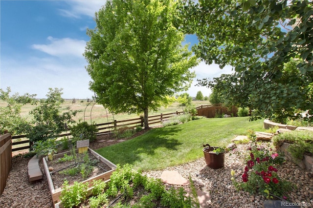 3027 Walnut Grove St, Erie, CO 80516 - fenced backyard featuring a vegetable garden