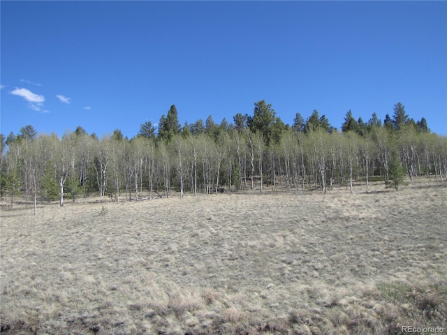10073 Ranch Rd, Hartsel, CO 80449 - photo 20