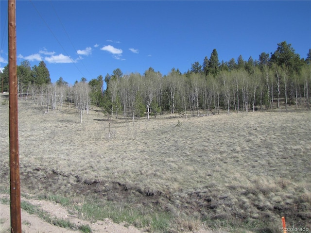 10073 Ranch Rd, Hartsel, CO 80449 - photo 21