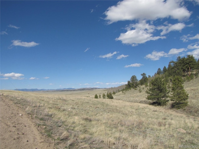 10073 Ranch Rd, Hartsel, CO 80449 - photo 22