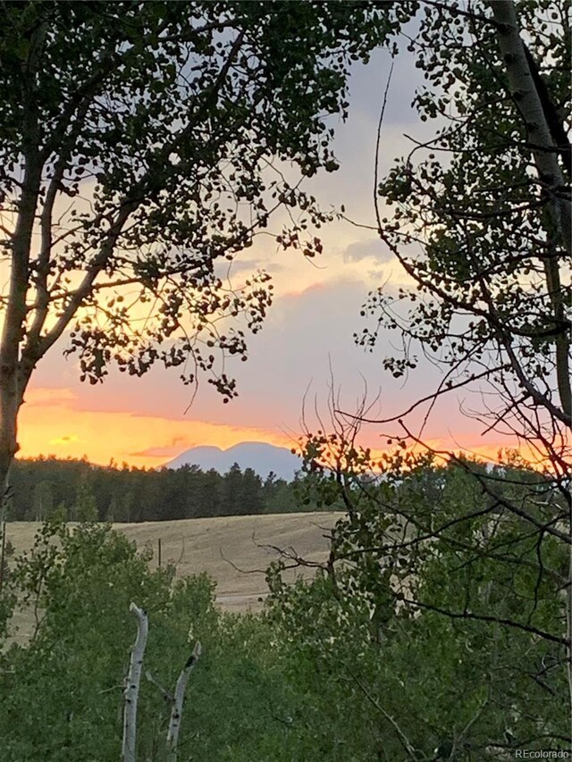 10073 Ranch Rd, Hartsel, CO 80449 - photo 1