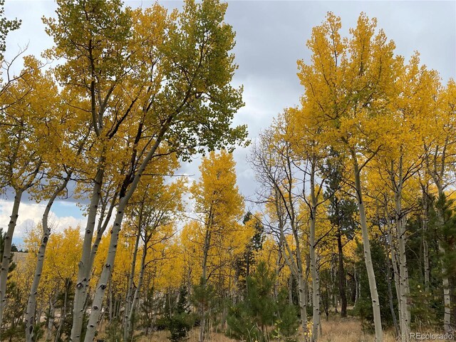 10073 Ranch Rd, Hartsel, CO 80449 - photo 3